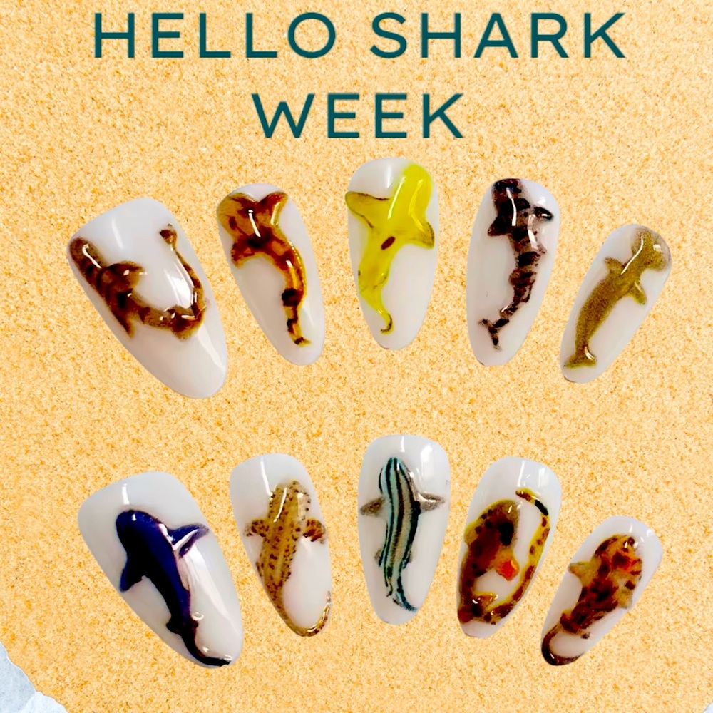 Sharks Artificial Acrylic Nails Shark Series Fingernail Overlays Whale Shark New